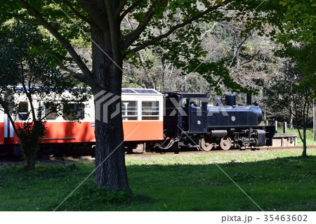 小湊鉄道　里山トロッコ列車 35463602
