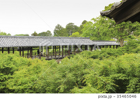 京都 東福寺 通天橋 京都 東福寺 通天橋 35465046