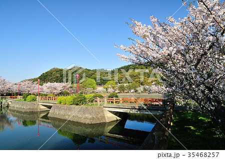 和歌浦 御手洗池と桜 和歌浦 御手洗池と桜 35468257