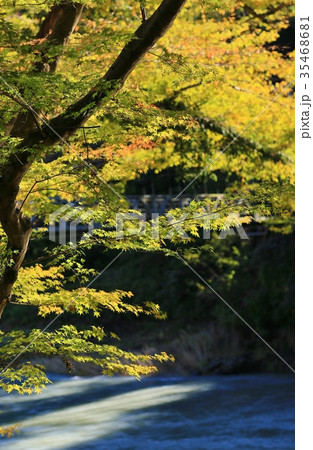 紅葉の御岳渓谷 紅葉の御岳渓谷 35468681