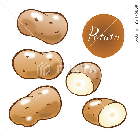 じゃがいも じゃがいも 35470999