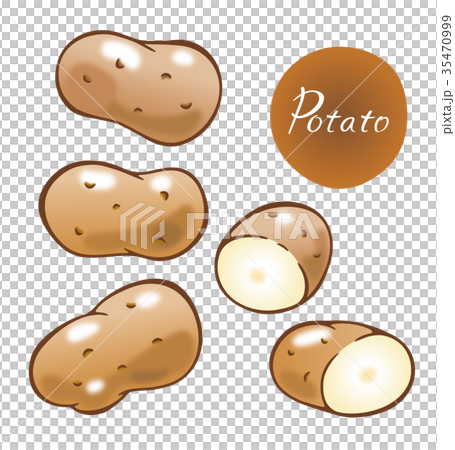 じゃがいも じゃがいも 35470999