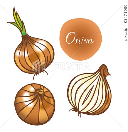 たまねぎ たまねぎ 35471000