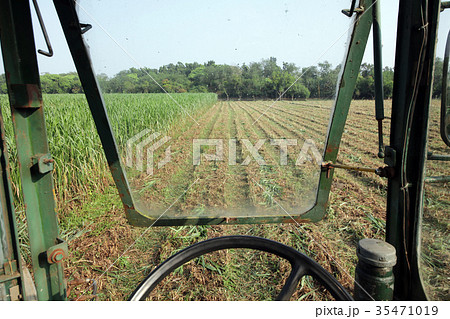 袋入り 刈り入れ 収穫作業 35471019