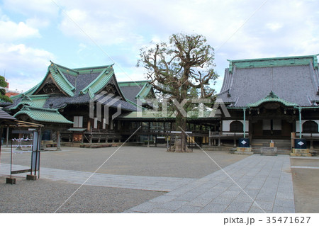 葛飾柴又 帝釈天 葛飾柴又 帝釈天 35471627