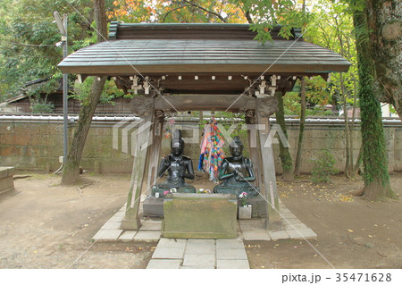 葛飾柴又　帝釈天 35471628