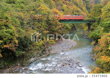 紅葉の只見線 紅葉の只見線 35471908