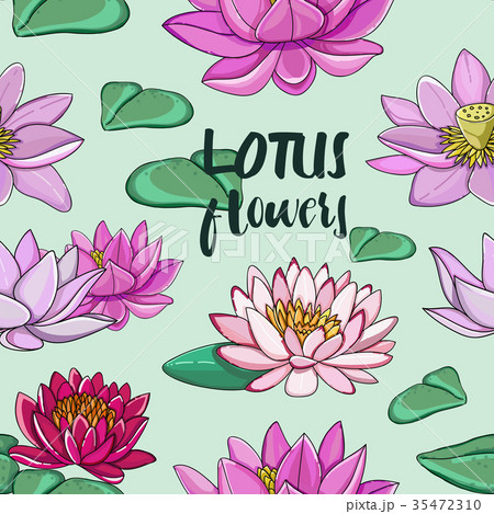 Set Of Lotus Flowers Patternのイラスト素材