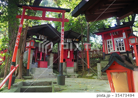 かさ松大善神 35473494