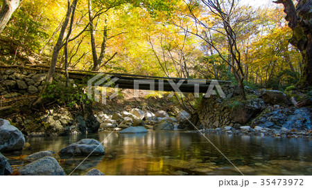 秋の紅葉登山道 鈴鹿山麓にて 秋の紅葉登山道 鈴鹿山麓にて 35473972