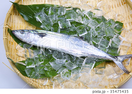 サワラ　食材 35475435