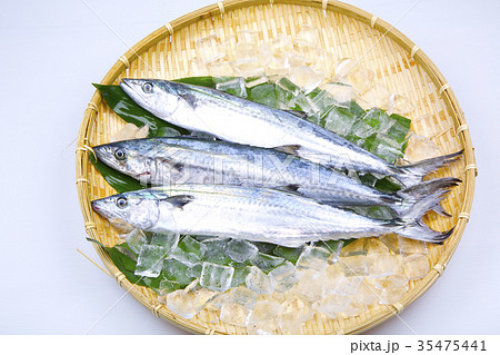 サワラ　食材 35475441