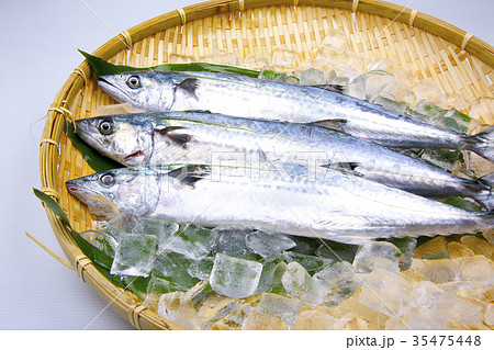 サワラ　食材 35475448