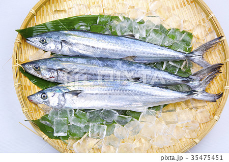 サワラ　食材 35475451