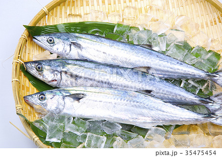 サワラ　食材 35475454