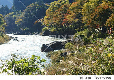 御岳渓谷 35475496