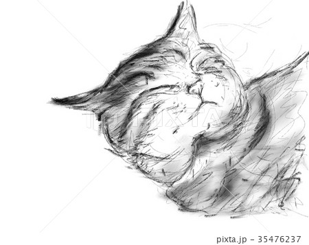 猫 イラスト 猫 イラスト 35476237