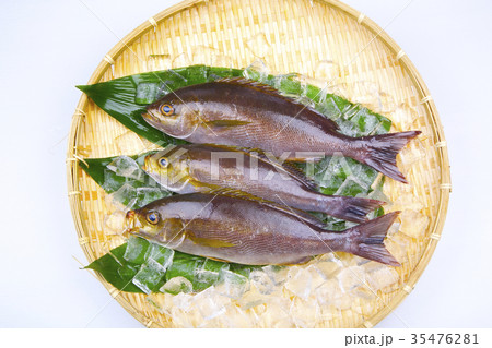 イサキ　食材 35476281