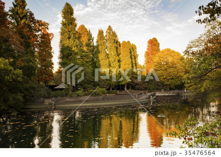 紅葉する井の頭公園の夕暮れ エディトリアル向けの写真素材