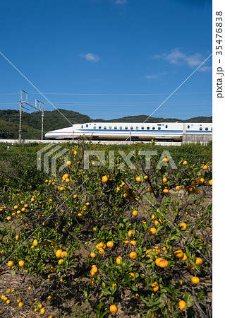 東海道新幹線N700系とみかん畑 35476838