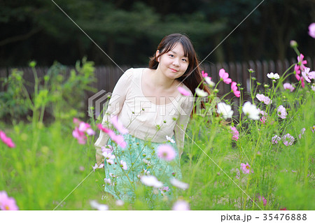 コスモス畑・お花畑と若い女性 35476888