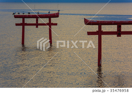 海中鳥居の夜明け 佐賀県 太良町 海中鳥居の夜明け 佐賀県 太良町 35476958