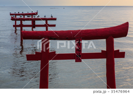 海中鳥居の夜明け 佐賀県 太良町 海中鳥居の夜明け 佐賀県 太良町 35476964