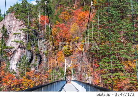 《栃木県》瀬戸合峡・紅葉と吊橋 《栃木県》瀬戸合峡・紅葉と吊橋 35477172