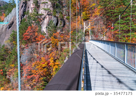 《栃木県》瀬戸合峡・紅葉と吊橋 《栃木県》瀬戸合峡・紅葉と吊橋 35477175