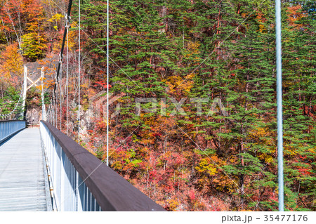 《栃木県》瀬戸合峡・紅葉と吊橋 《栃木県》瀬戸合峡・紅葉と吊橋 35477176
