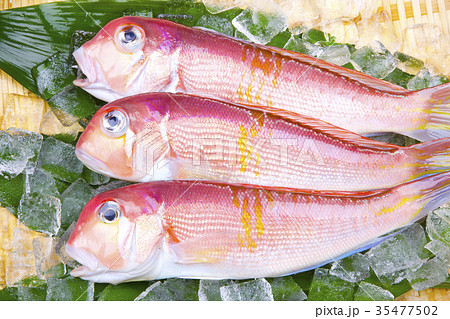 甘鯛 食材 甘鯛 食材 35477502