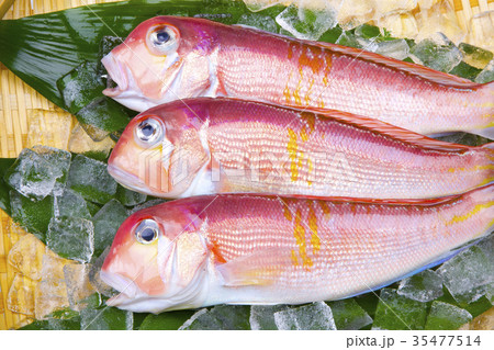 甘鯛　食材 35477514