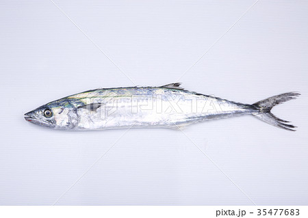 サワラ　食材 35477683
