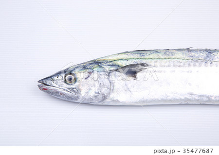 サワラ　食材 35477687