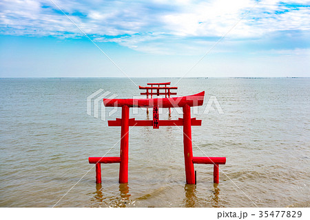 太良町　海中鳥居 35477829