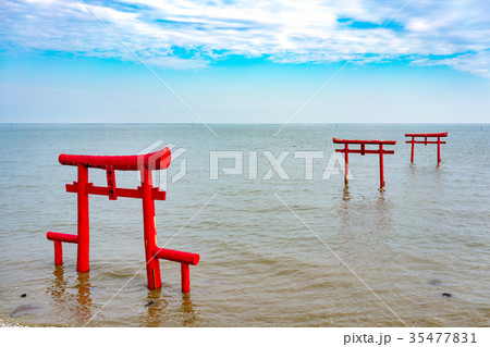 太良町　海中鳥居 35477831