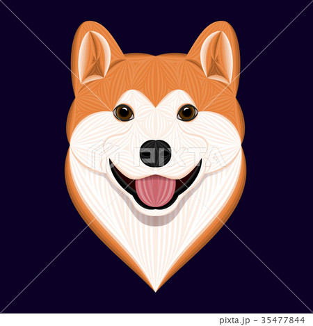 Cartoon Akita Dog, Vector Illustration 35477844