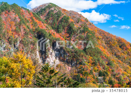 《栃木県》瀬戸合峡・秋の自然風景 35478015