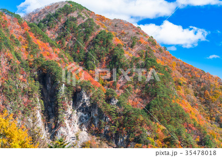 《栃木県》瀬戸合峡・秋の自然風景 《栃木県》瀬戸合峡・秋の自然風景 35478018