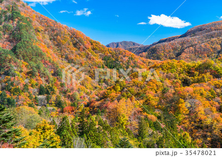 《栃木県》瀬戸合峡・秋の自然風景 35478021