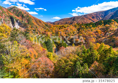 《栃木県》瀬戸合峡・秋の自然風景 35478025
