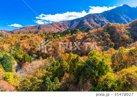 《栃木県》瀬戸合峡・秋の自然風景 《栃木県》瀬戸合峡・秋の自然風景 35478027