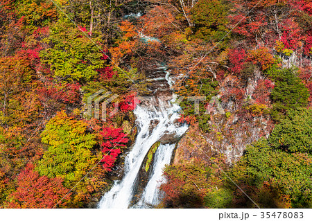 《栃木県》紅葉の霧降ノ滝 《栃木県》紅葉の霧降ノ滝 35478083