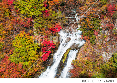 《栃木県》紅葉の霧降ノ滝 35478084