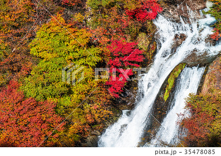 《栃木県》紅葉の霧降ノ滝 《栃木県》紅葉の霧降ノ滝 35478085