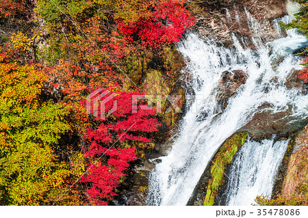 《栃木県》紅葉の霧降ノ滝 《栃木県》紅葉の霧降ノ滝 35478086