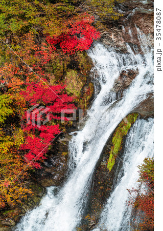 《栃木県》紅葉の霧降ノ滝 《栃木県》紅葉の霧降ノ滝 35478087