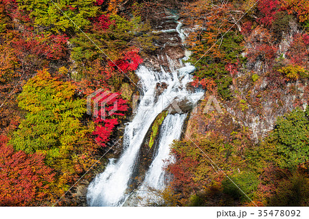 《栃木県》紅葉の霧降ノ滝 35478092