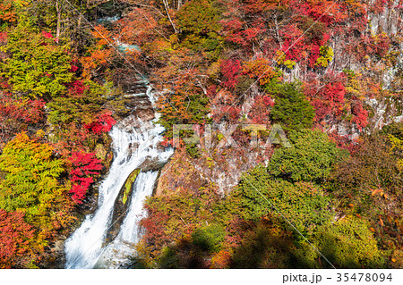 《栃木県》紅葉の霧降ノ滝 35478094