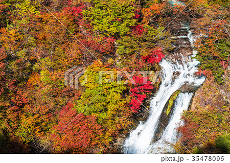 《栃木県》紅葉の霧降ノ滝 35478096